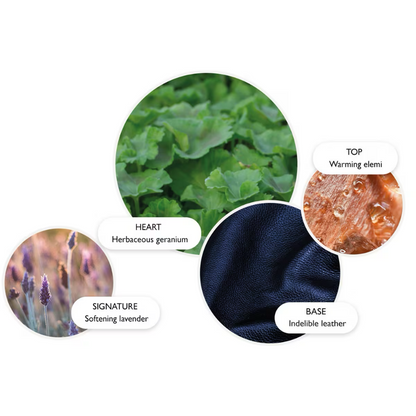 Molton Brown Dark Leather Eau De Parfum 100ml