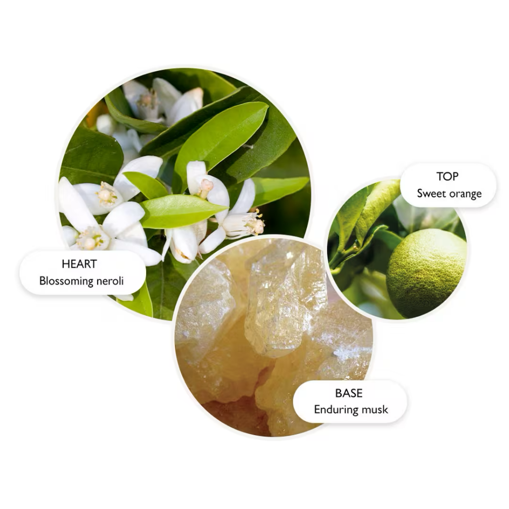 Molton Brown Orange & Bergamot Eau De Toilette 100ml