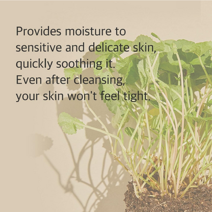 Mixsoon Centella Cleansing Foam 150ml