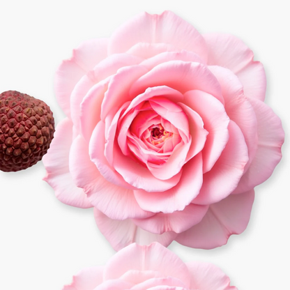 Parfums De Marly Delina Shower Gel 200ml