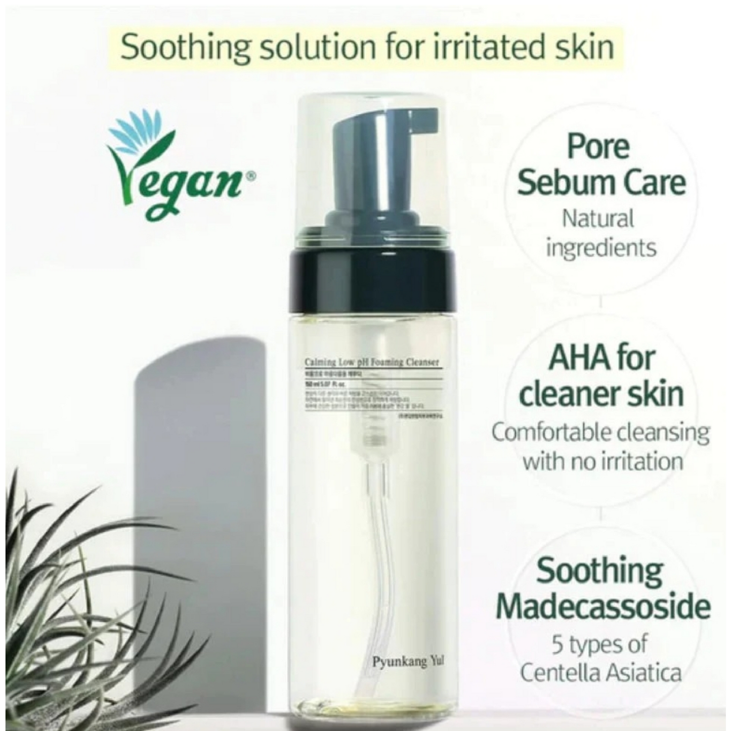 Pyunkang Yul Calming Low pH Foaming Cleanser 150ml