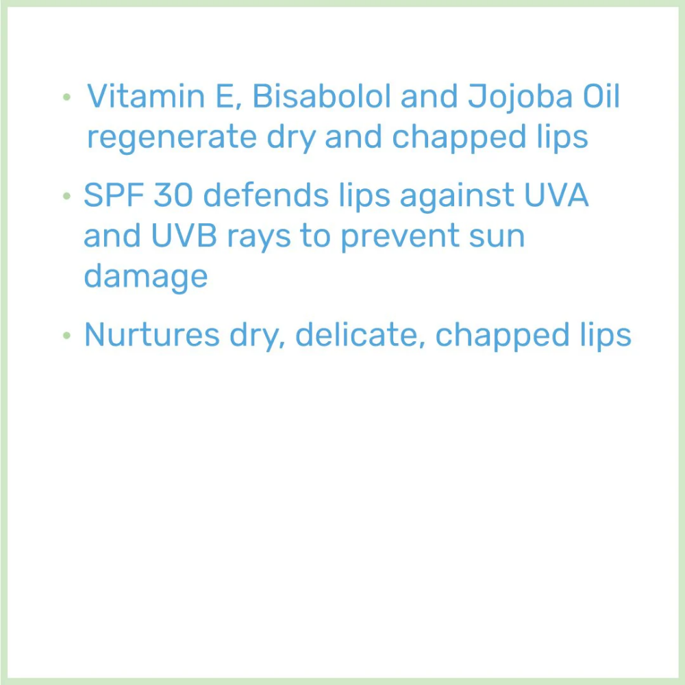 Sebamed Lip Defence Stick SPF30 4.8g