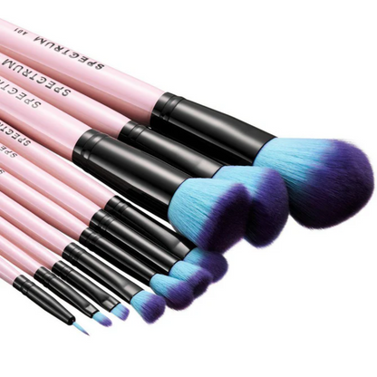 Spectrum Collections 10 Piece Pink Essential Brush Set