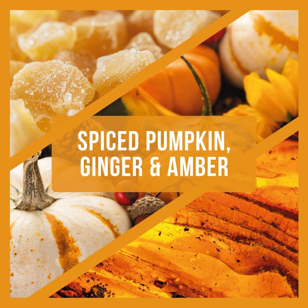 Wax Lyrical Autumn Pumpkin Scented Reed Diffuser 100ml