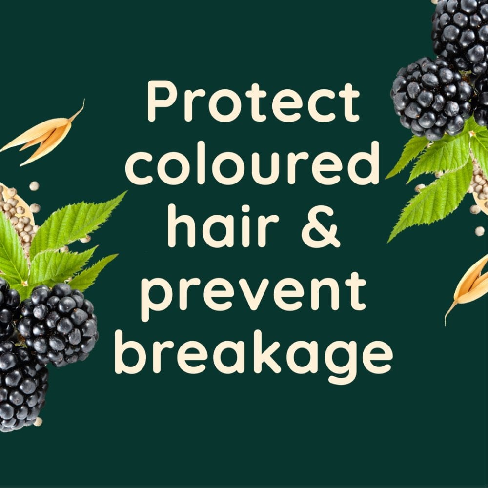 Aveeno Colour Protect+ Blackberry & Quinoa Blend Shampoo 300ml