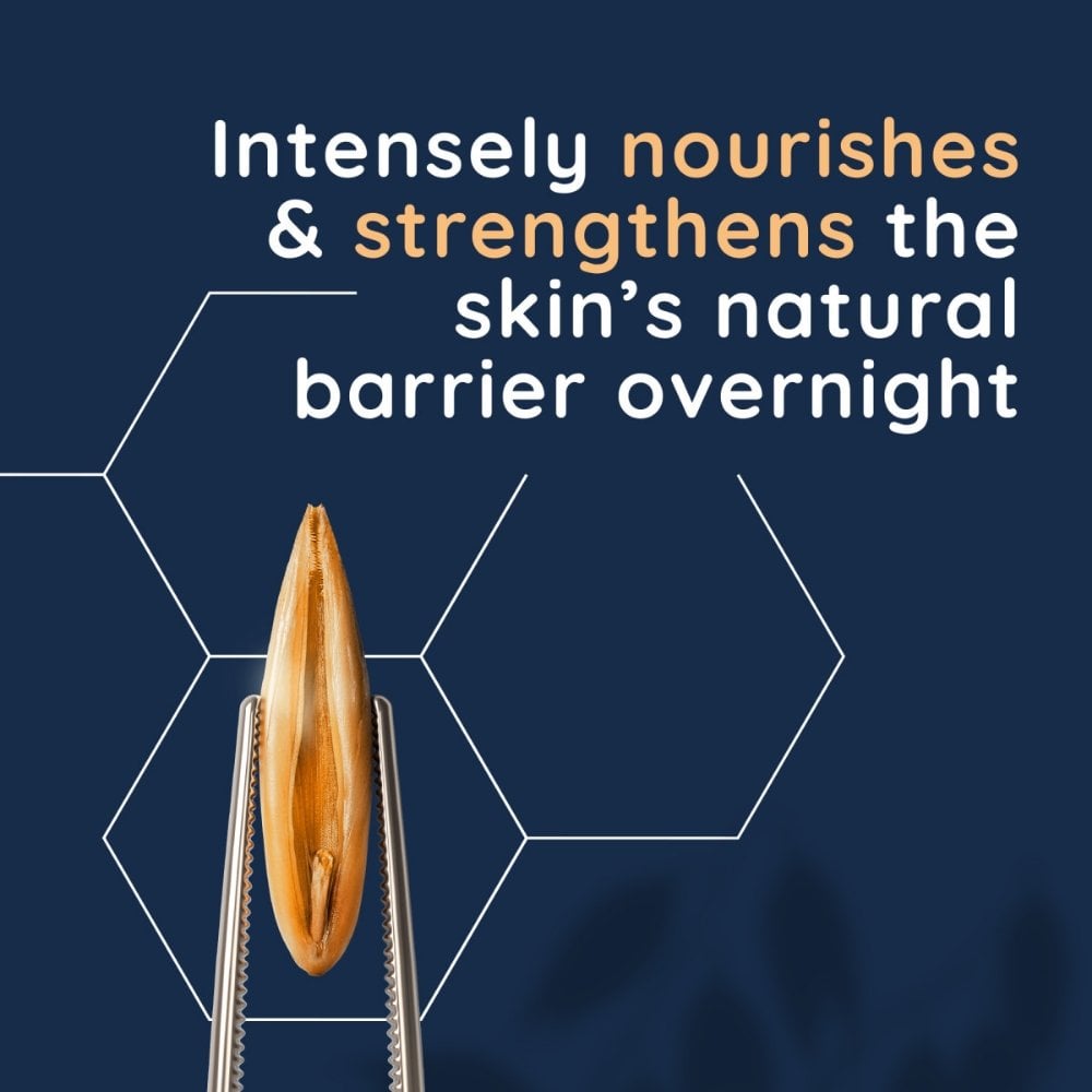 Aveeno Face Calm+ Restore Re-Hydrating Night Cream 50ml