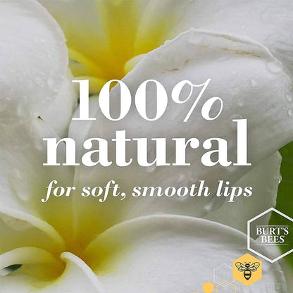 Burt's Bees Lip Balm Honey Duo Pack