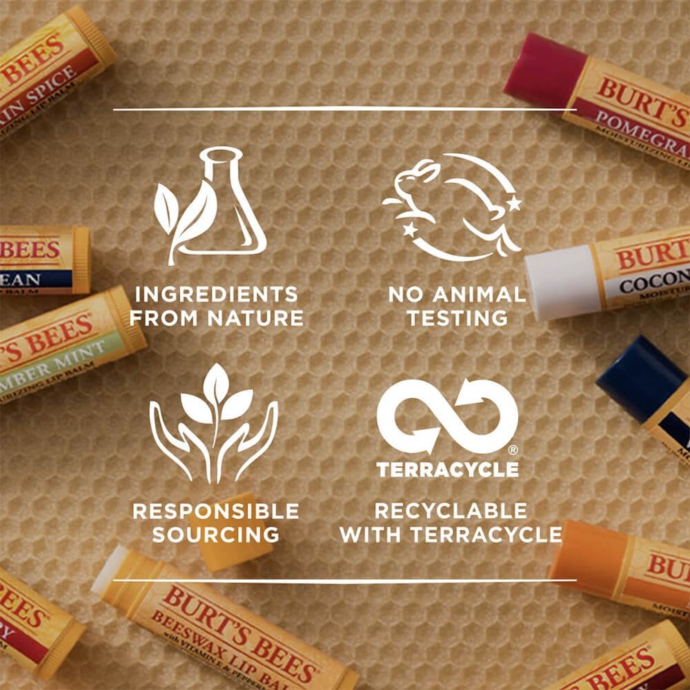 Burt's Bees Lip Balm Honey Tube 4.25g