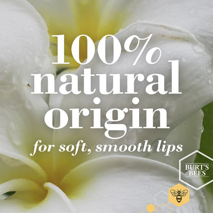 Burt's Bees Lip Balm Tube Beeswax Blister Duo Pack