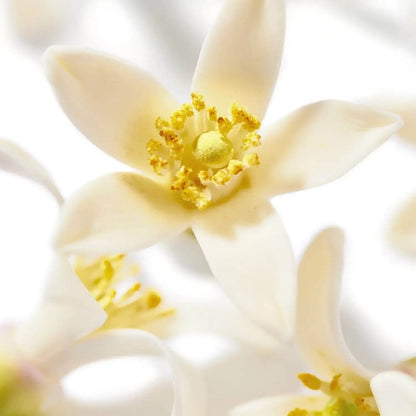 Nuxe Huile Prodigieuse Multi-Purpose Dry Neroli Oil 100ml