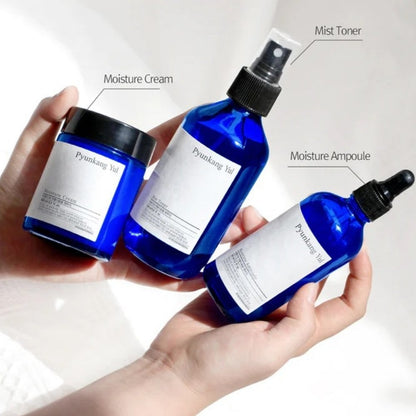 Pyunkang Yul Moisture Cream 100ml