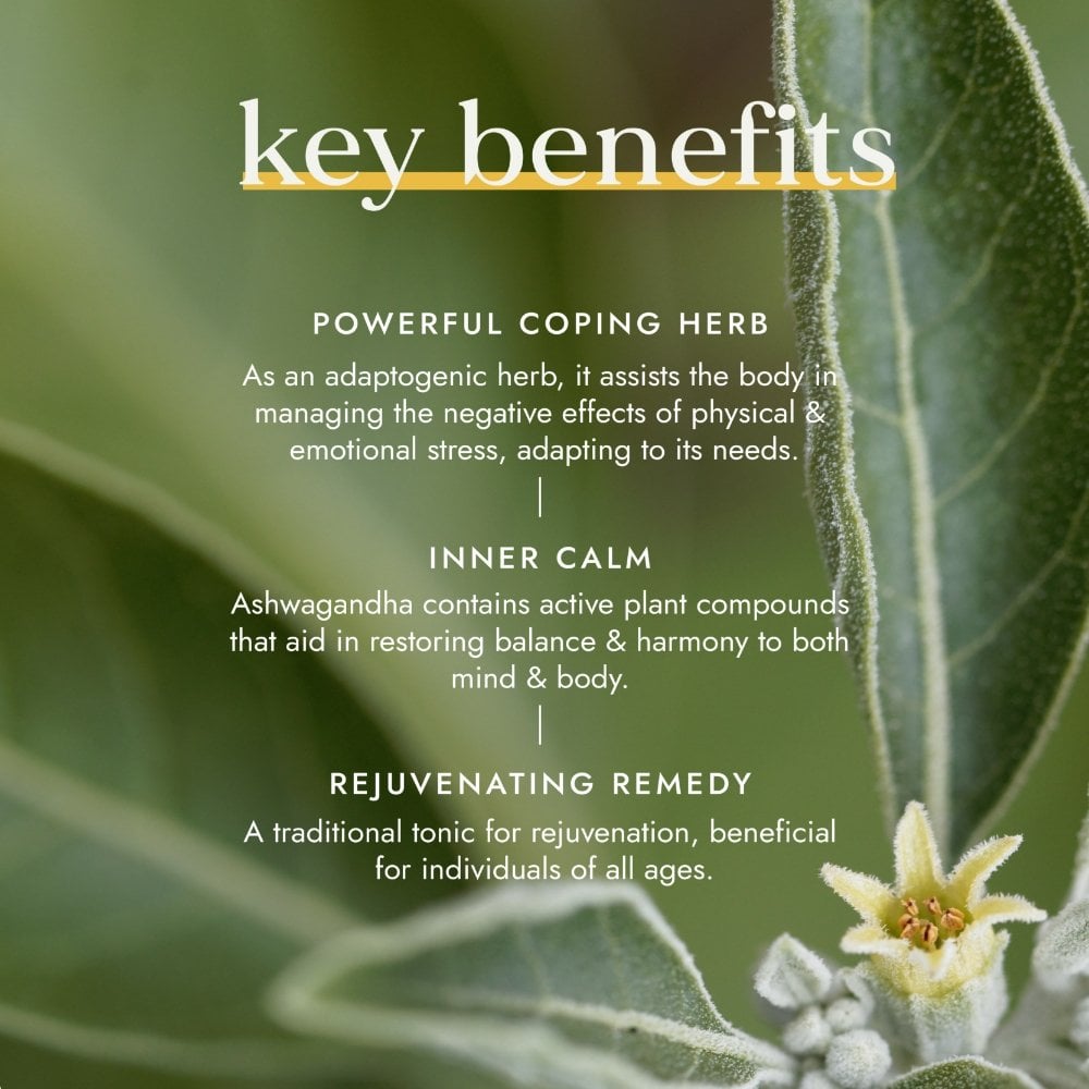 Fushi Organic Ashwagandha 60 Vegan Capsules