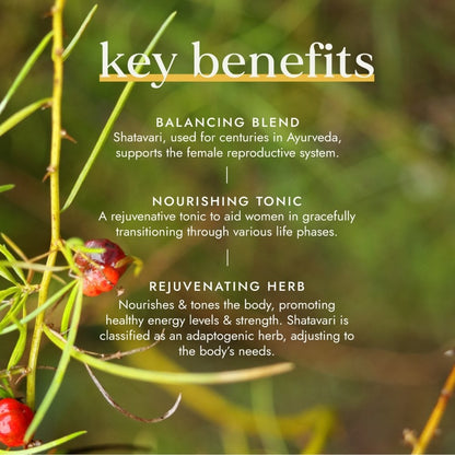 Fushi Organic Shatavari 60 Vegan Capsules