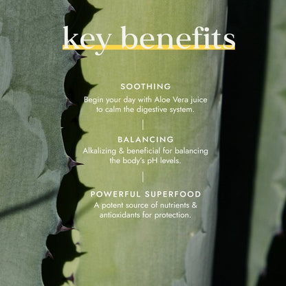 Fushi Organic Fresh-Pressed Aloe Vera Juice 500ml