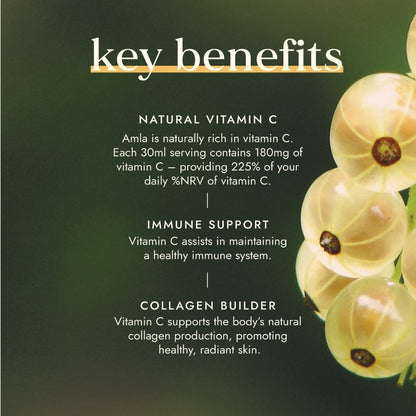 Fushi Organic Fresh-Pressed Amla Juice 500ml