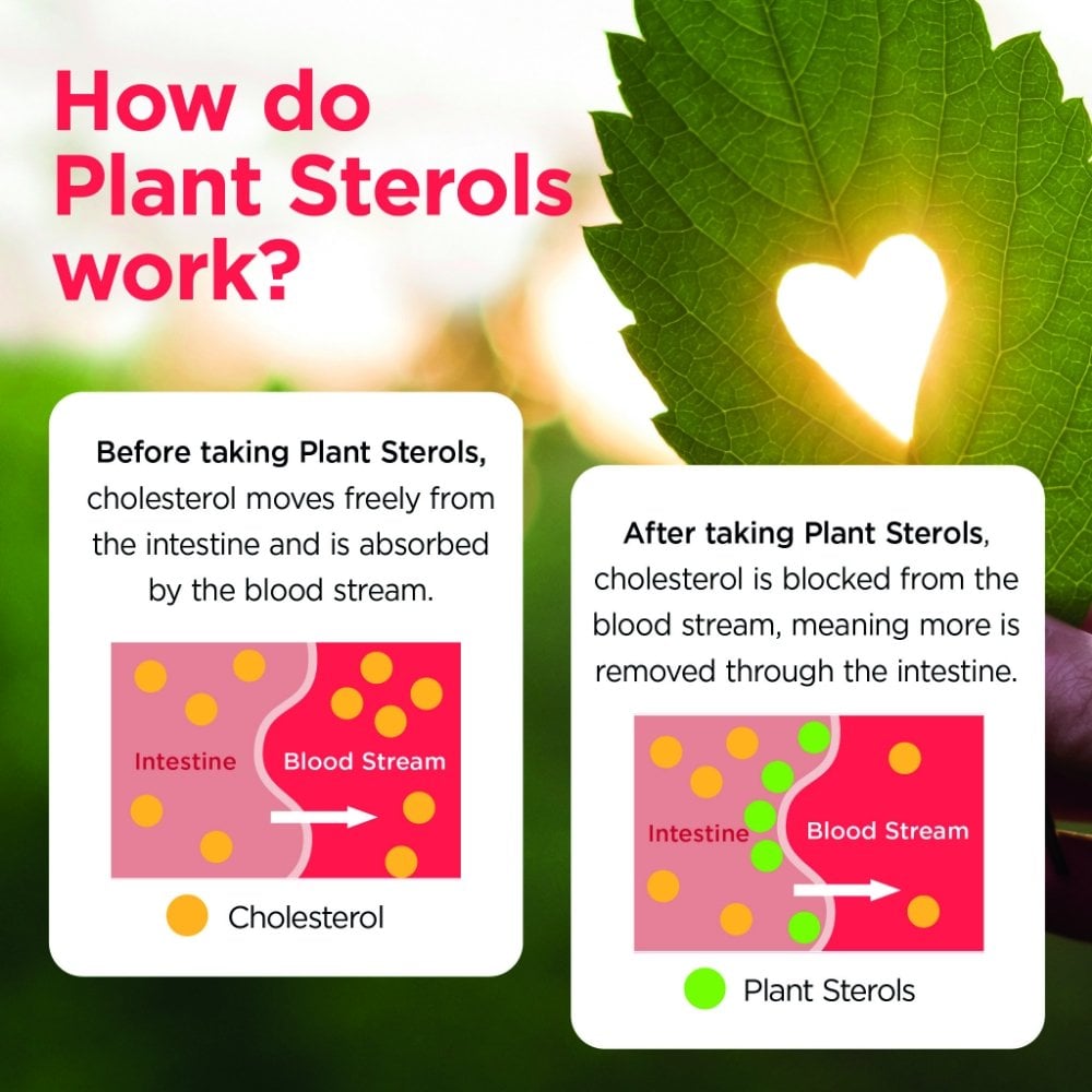 Healthspan Plant Sterols 800mg 90 Tablets