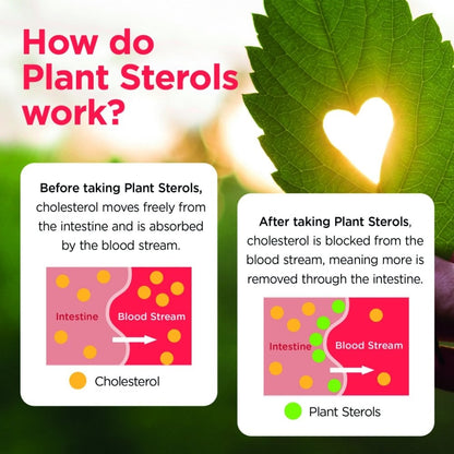 Healthspan Plant Sterols 800mg 90 Tablets