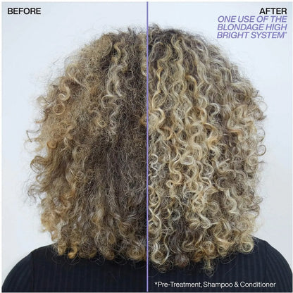 Redken Blondage High Bright Conditioner 300ml