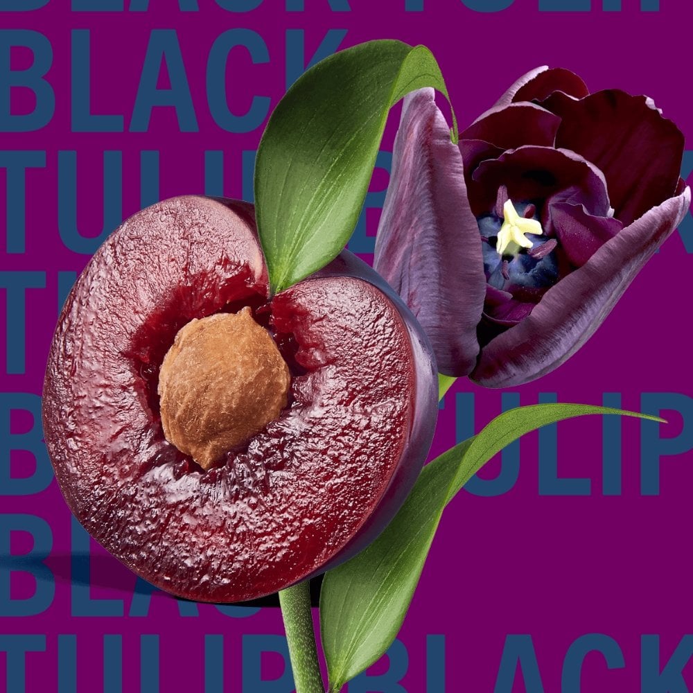 Shay & Blue Black Tulip Eau De Parfum 10ml
