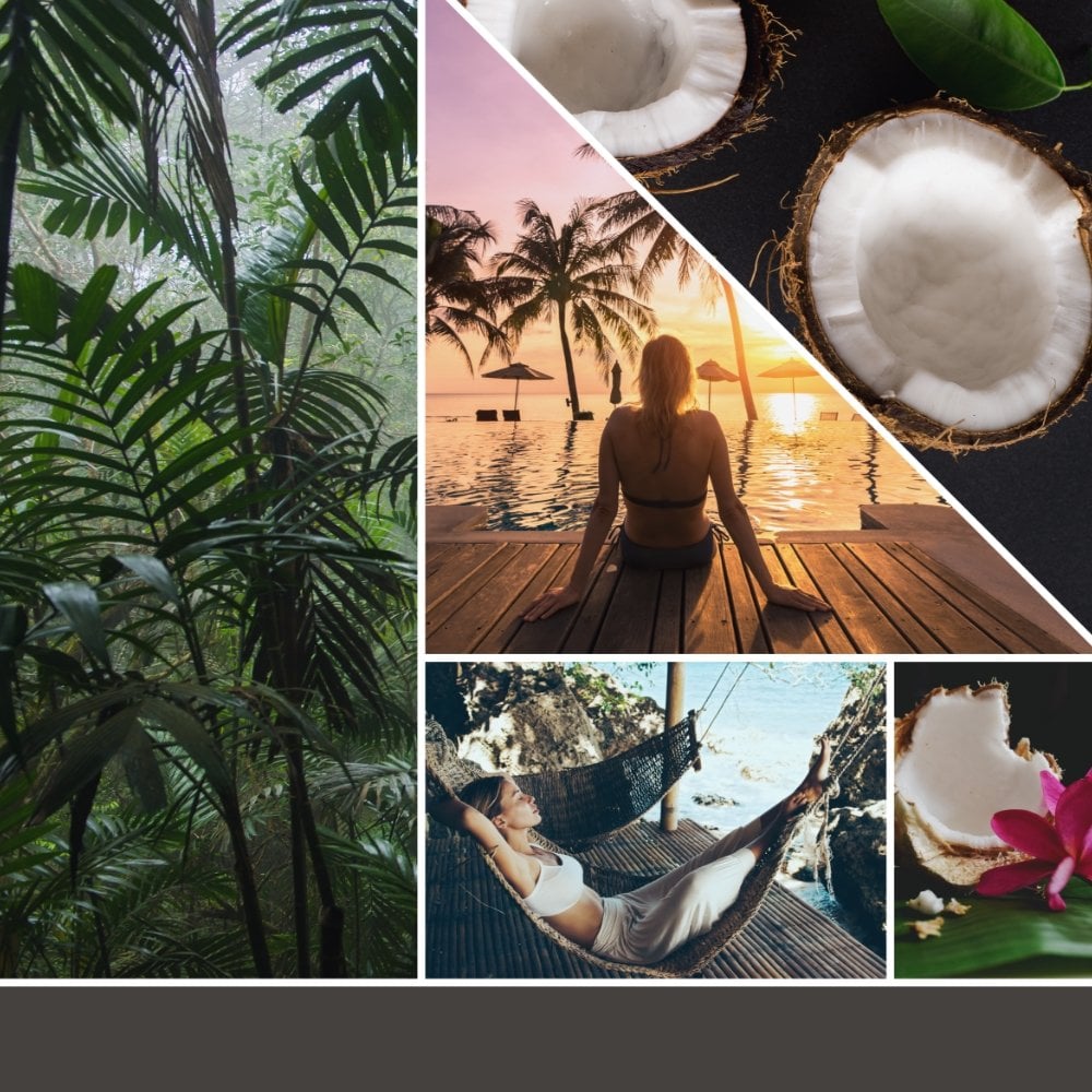 Yankee Candle Black Coconut Large Signature Jar Candle